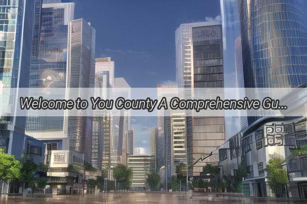 Welcome to You County A Comprehensive Guide to Easy and Welcoming Transfers from Guangzhou